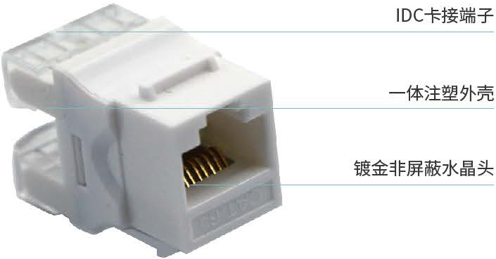 超六类<span>非屏蔽RJ45模块</span>
